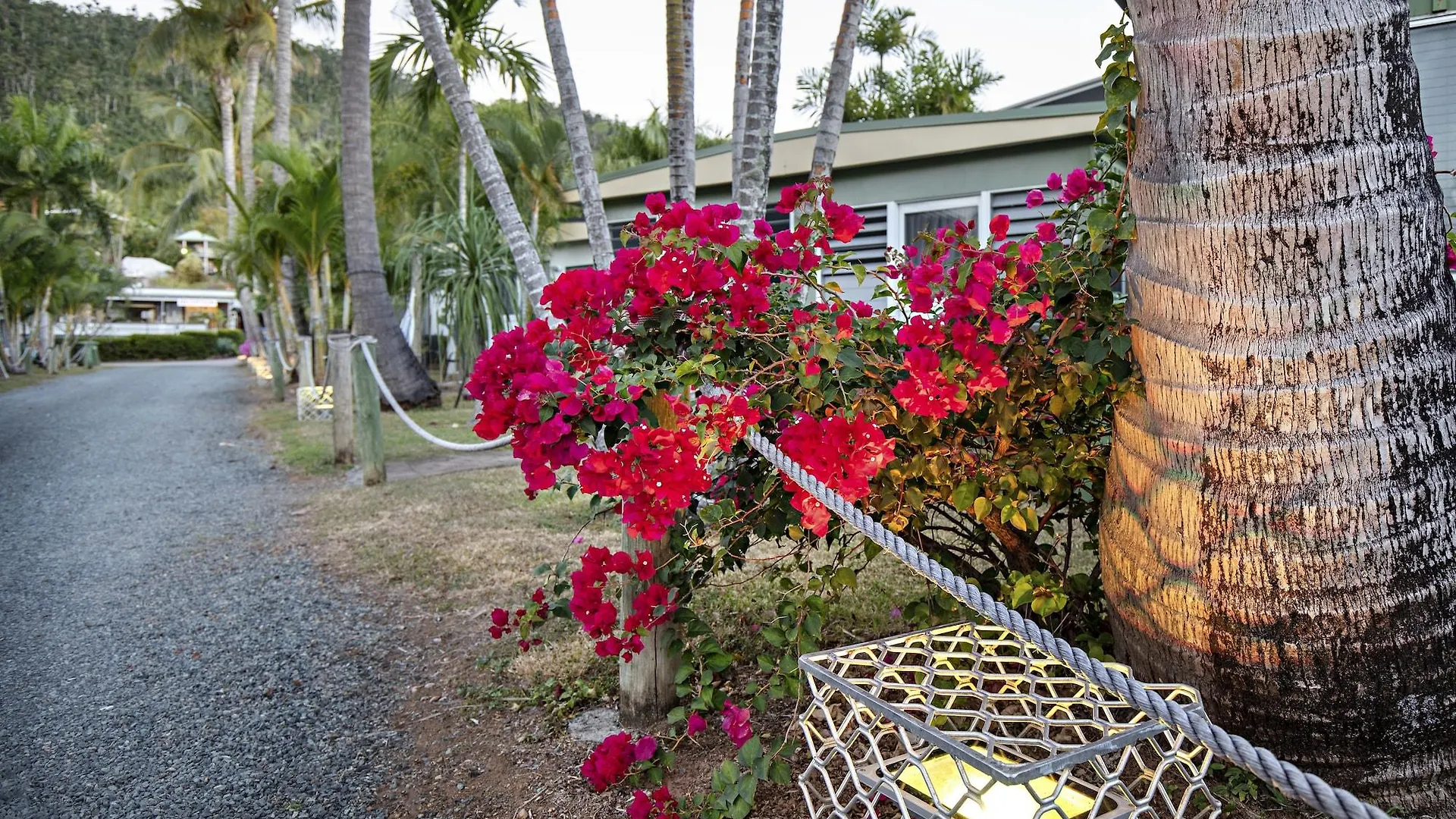 *** Holiday park Bush Village Holiday Cabins Airlie Beach Australia