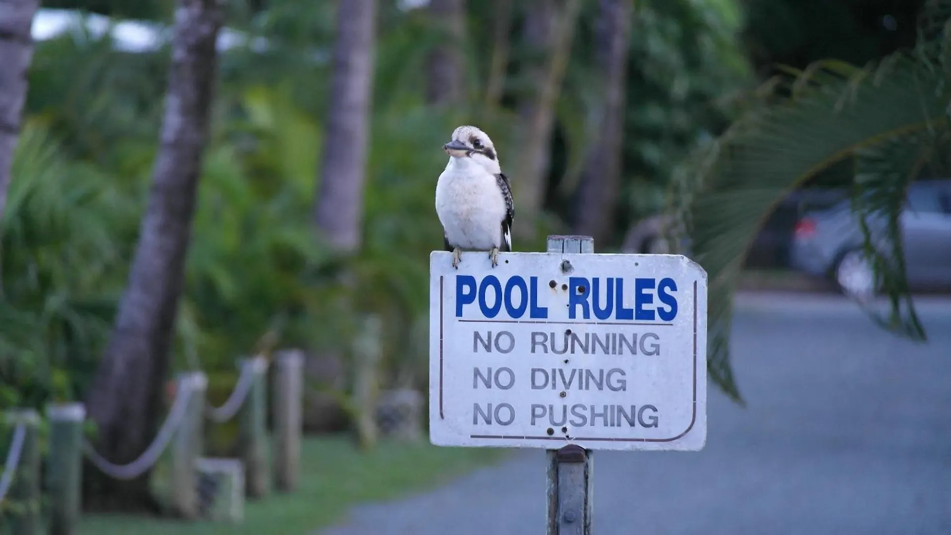 Bush Village Holiday Cabins Airlie Beach
