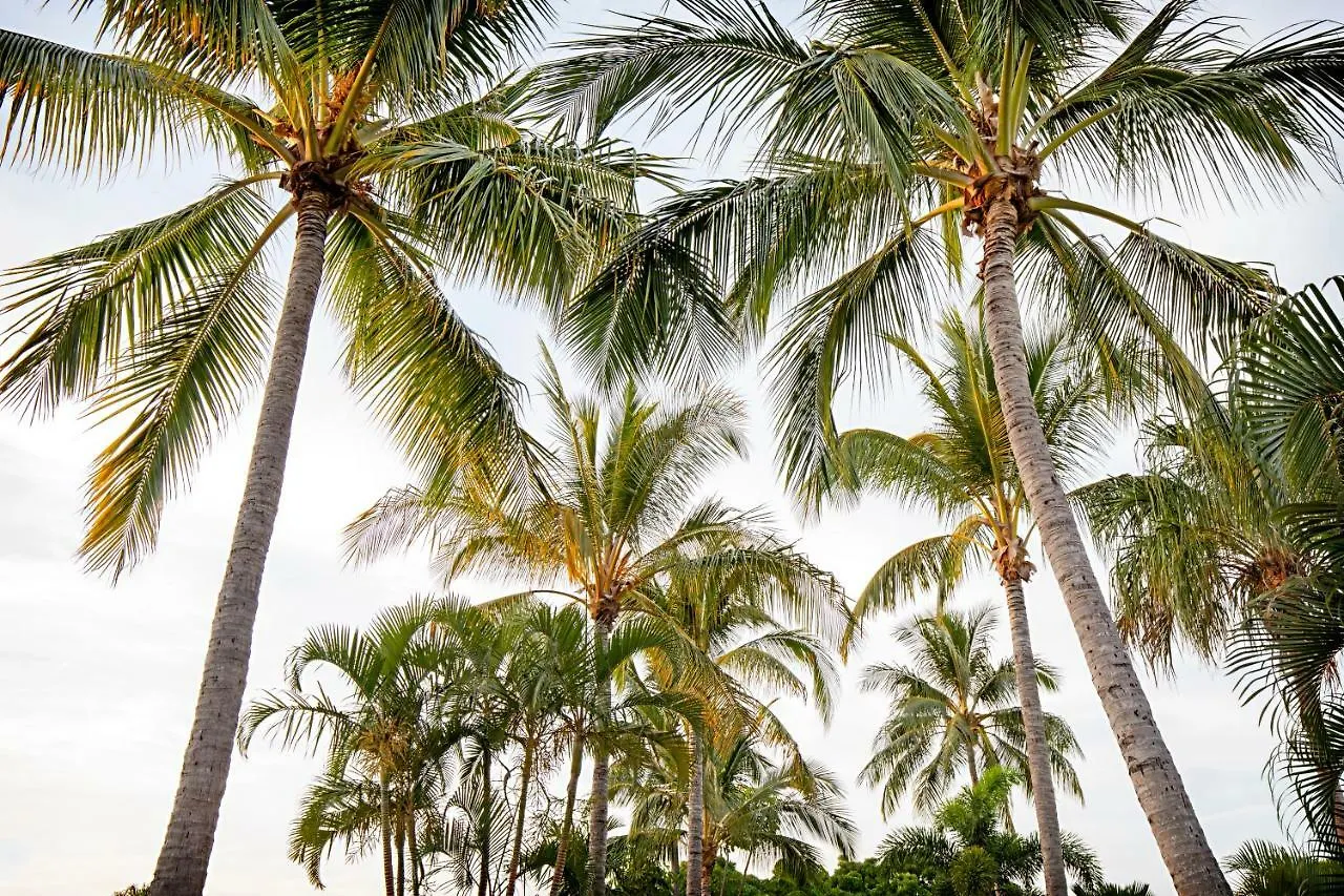 Bush Village Holiday Cabins Airlie Beach